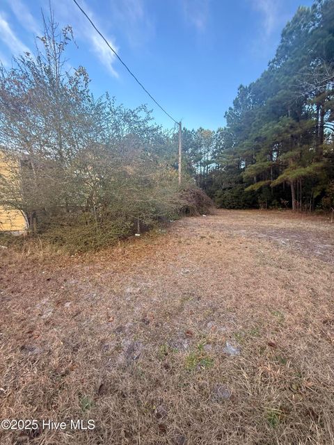 Tiny photo for 56 Riegel Drive, Hubert, NC 28539 (MLS # 100545051)