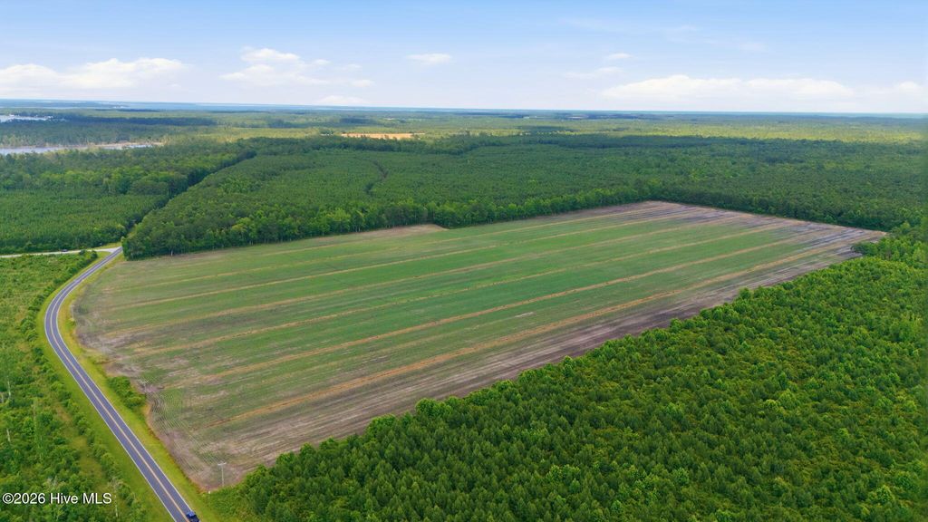 Photo of N/A Florence Road, Merritt, NC 28556 (MLS # 100586616)