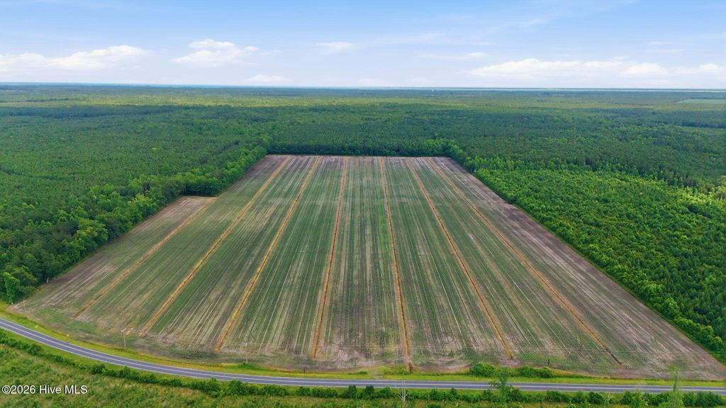 Photo of N/A Florence Road, Merritt, NC 28556 (MLS # 100586616)