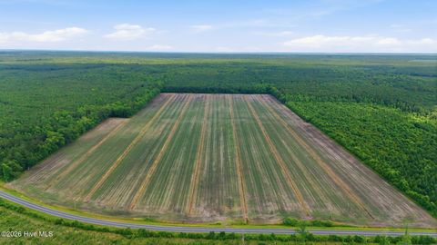 Vacant Land For Sale - N/A Florence Road<br/> Pamlico County, Merritt, NC 28556