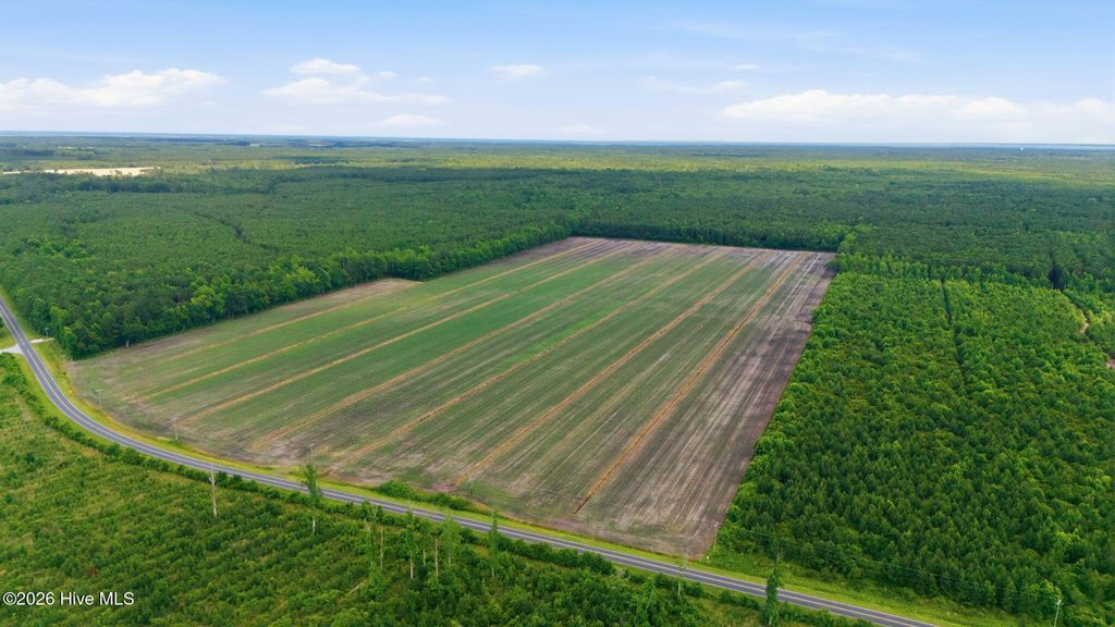 Photo of N/A Florence Road, Merritt, NC 28556 (MLS # 100586616)