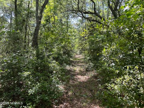 Tiny photo for 1307 Burnett Road, Wilmington, NC 28409 (MLS # 100551098)