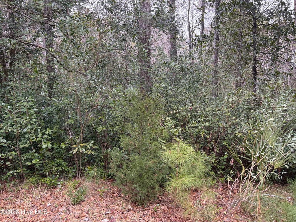 Photo of 1307 Burnett Road, Wilmington, NC 28409 (MLS # 100551098)
