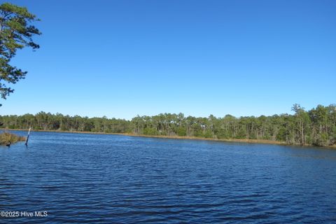 Vacant Land For Sale - 365 Tar Creek Road<br/> Oriental, NC 28571