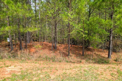 Vacant Land For Sale - 1048 Longleaf Way<br/> Lincolnton, GA 30817