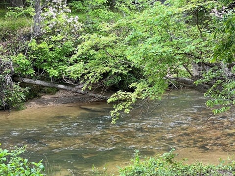 Vacant Land For Sale - LOT 52 Madeline Way<br/> Union County, Blairsville, GA 30512