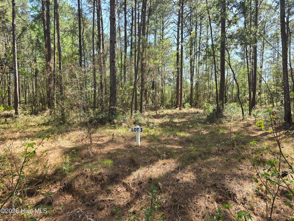 Photo of 3 Renee Drive, Hampstead, NC 28443 (MLS # 100567016)