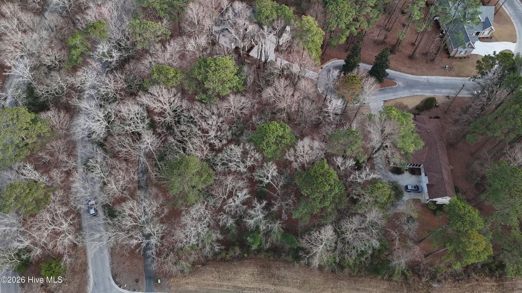 Photo of 175 Southern Magnolia Lane, Wallace, NC 28466 (MLS # 100557640)