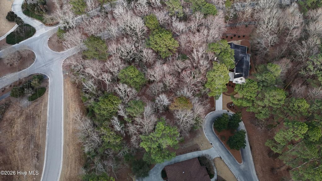 Photo of 175 Southern Magnolia Lane, Wallace, NC 28466 (MLS # 100557640)