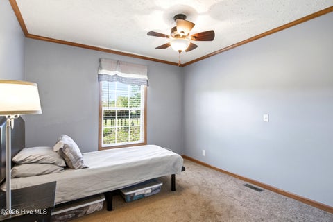 Tiny photo for 223 Blue Top Road, Jacksonville, NC 28540 (MLS # 100603688)