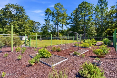 Tiny photo for 223 Blue Top Road, Jacksonville, NC 28540 (MLS # 100603688)