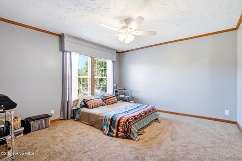 Tiny photo for 223 Blue Top Road, Jacksonville, NC 28540 (MLS # 100603688)