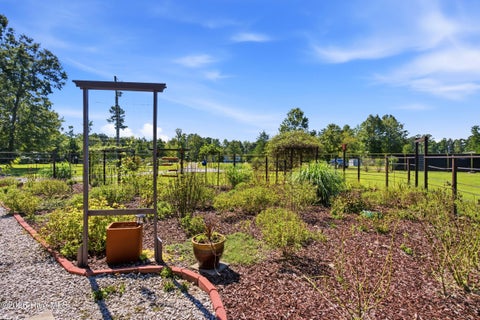 Tiny photo for 223 Blue Top Road, Jacksonville, NC 28540 (MLS # 100603688)