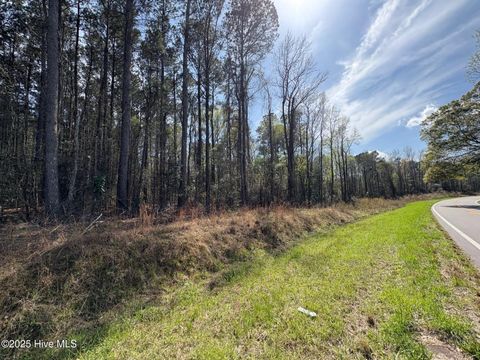 Photo of 0000 Beattys Bridge Road, Atkinson, NC 28421 (MLS # 100567133)