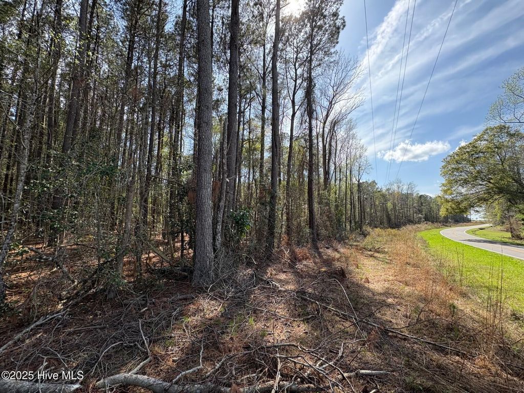 Photo of 0000 Beattys Bridge Road, Atkinson, NC 28421 (MLS # 100567133)