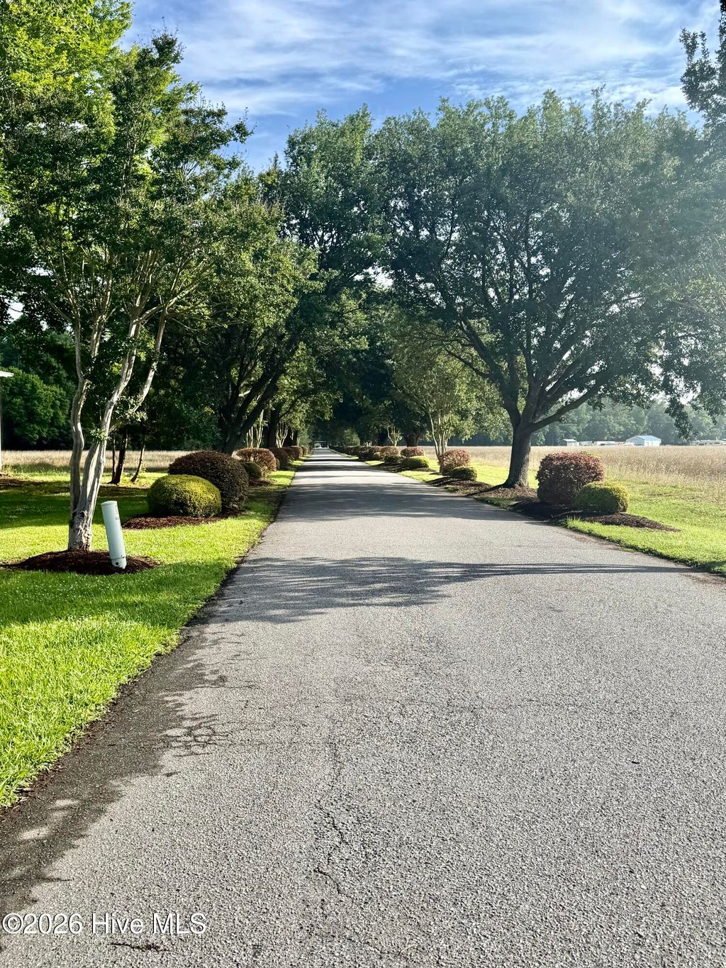 Photo of 98 Waters Edge Drive, Chocowinity, NC 27817 (MLS # 100577094)