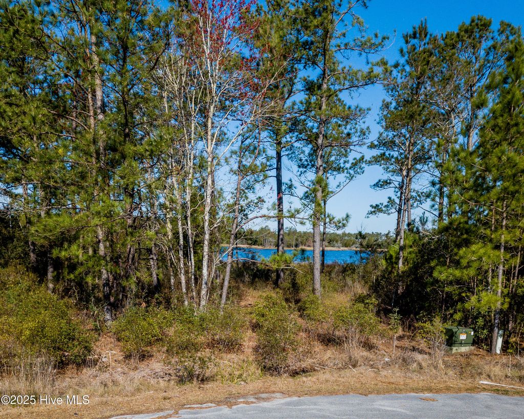 Photo of 859 Winchester Way, Merritt, NC 28556 (MLS # 100513784)