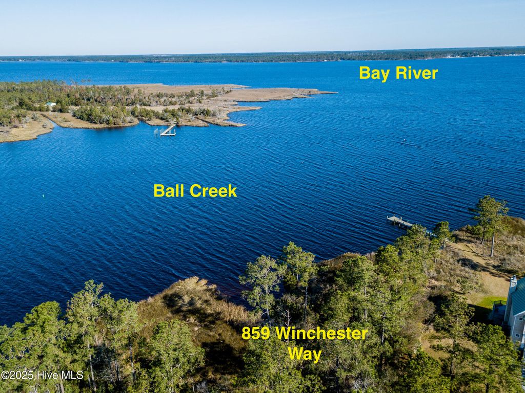 Photo of 859 Winchester Way, Merritt, NC 28556 (MLS # 100513784)