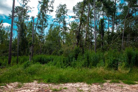 Vacant Land For Sale - LOT 1 Furey Drive<br/> Mccormick County, Clarks Hill, SC 29821