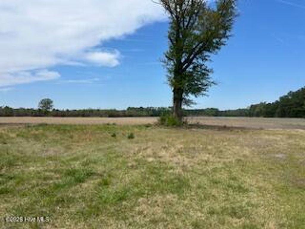 Photo of 201 Richardson Road, Dover, NC 28526 (MLS # 100566797)