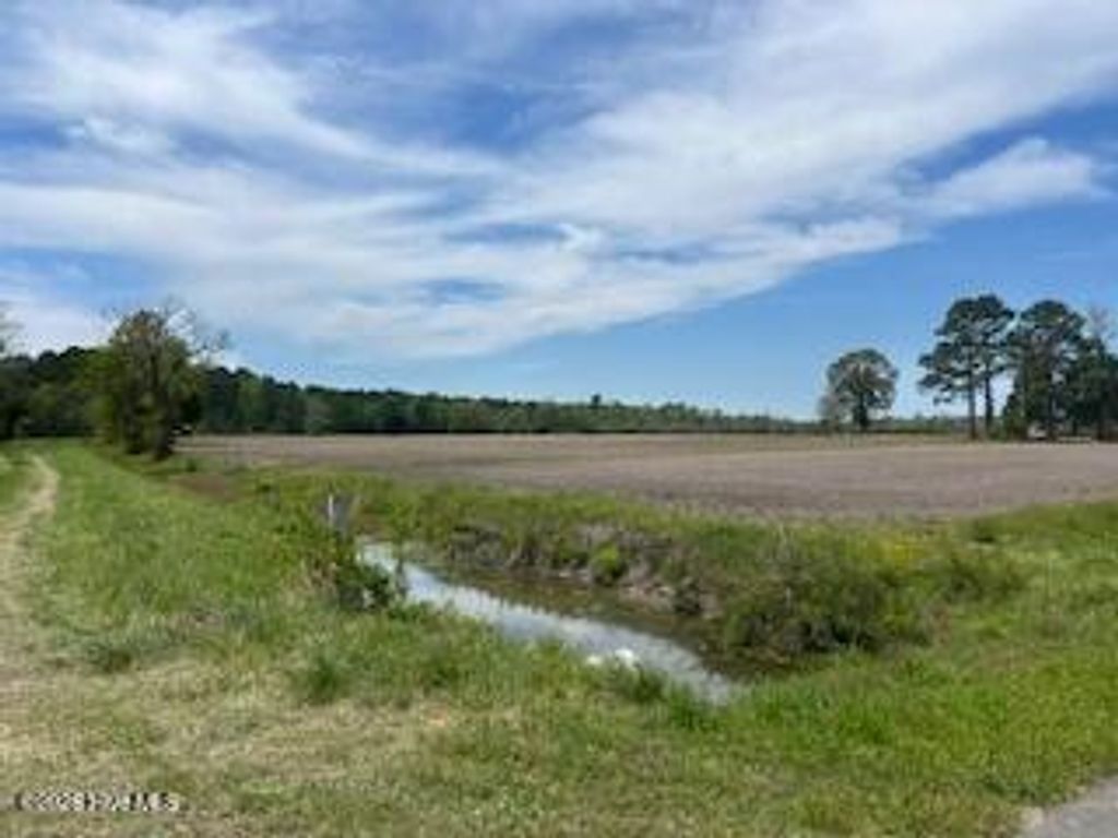 Photo of 201 Richardson Road, Dover, NC 28526 (MLS # 100566797)
