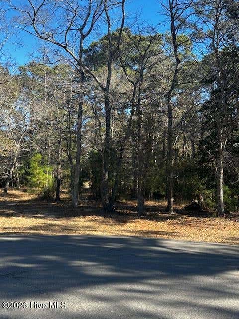 Photo of 141 Eagle Court SW, Supply, NC 28462 (MLS # 100594011)