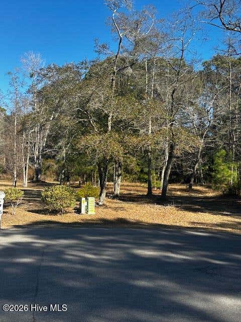 Photo of 141 Eagle Court SW, Supply, NC 28462 (MLS # 100594011)