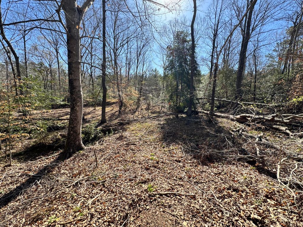 Photo of 4788 Chamberlain S Ferry Road, Lincolnton, GA 30817 (MLS # 553497)