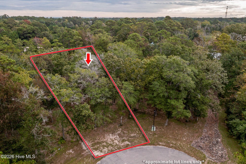 Photo of 1762 Oyster Harbour Parkway SW, Supply, NC 28462 (MLS # 100608706)