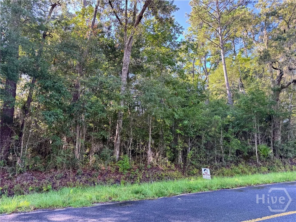 0 Cattle Hammock Road, Midway, GA, 31320