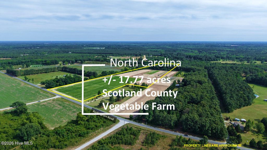 Photo of 5901 Rockingham Road, Laurel Hill, NC 28351 (MLS # 100574979)