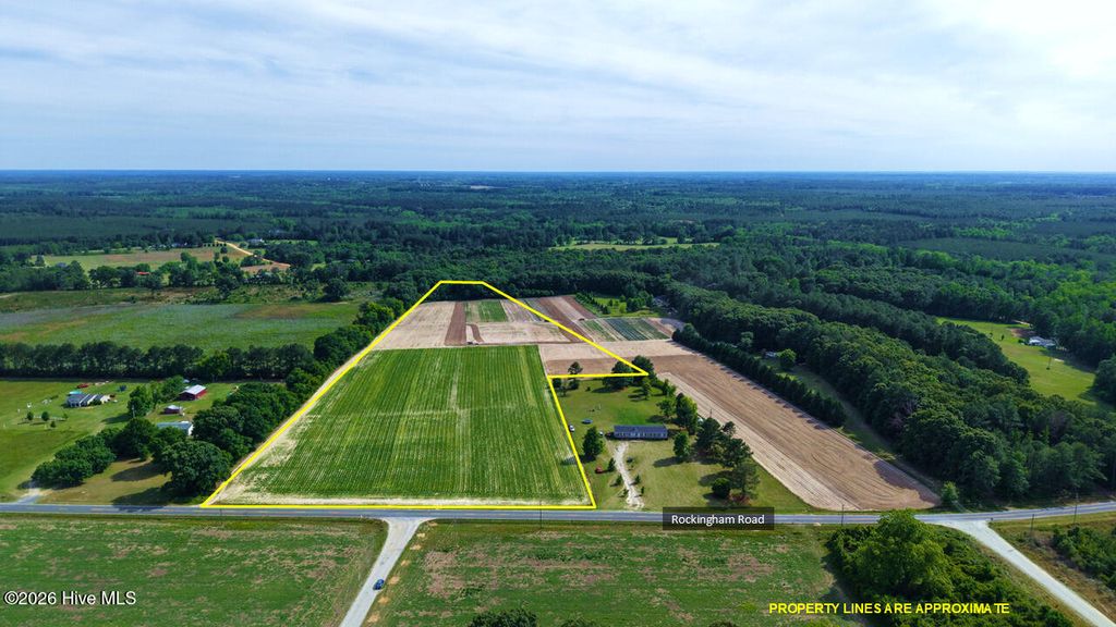 Photo of 5901 Rockingham Road, Laurel Hill, NC 28351 (MLS # 100574979)