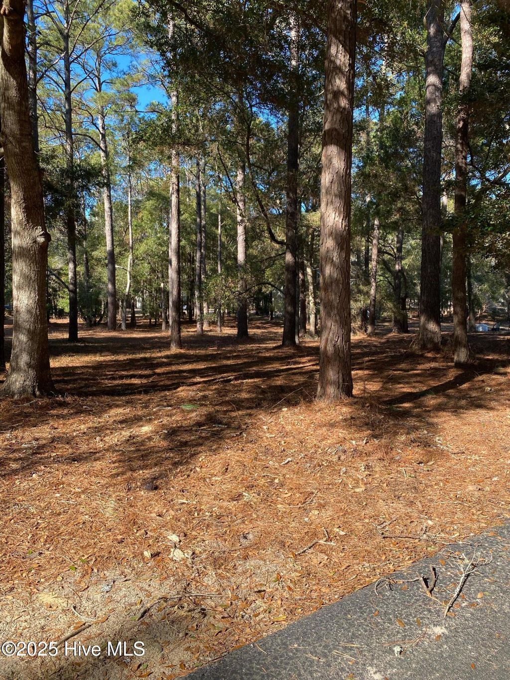 Photo of 670 Cypress Grove Court SE, Bolivia, NC 28422 (MLS # 100542937)