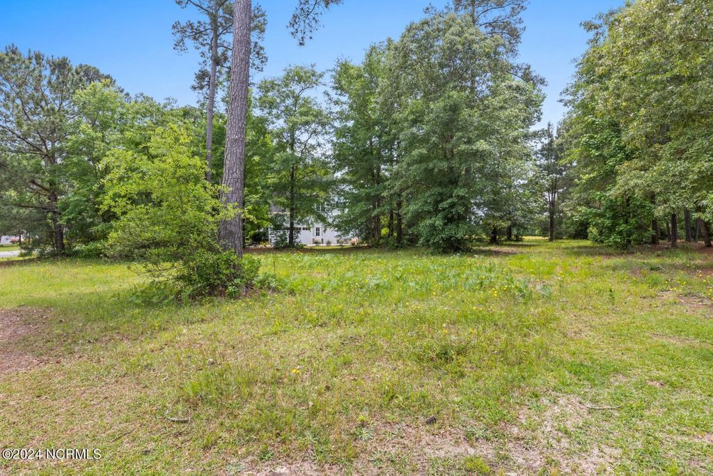 Photo of 198 Cellars Way, Wallace, NC 28466 (MLS # 100531191)