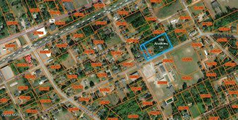 Vacant Land For Sale - 700 Academy Street<br/> Fair Bluff, NC 28439