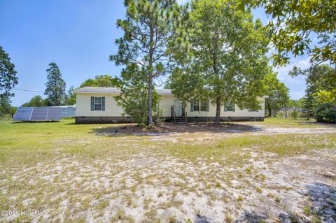 Photo of 798 Big Branch Road, Wagener, SC 29164 (MLS # 100586381)
