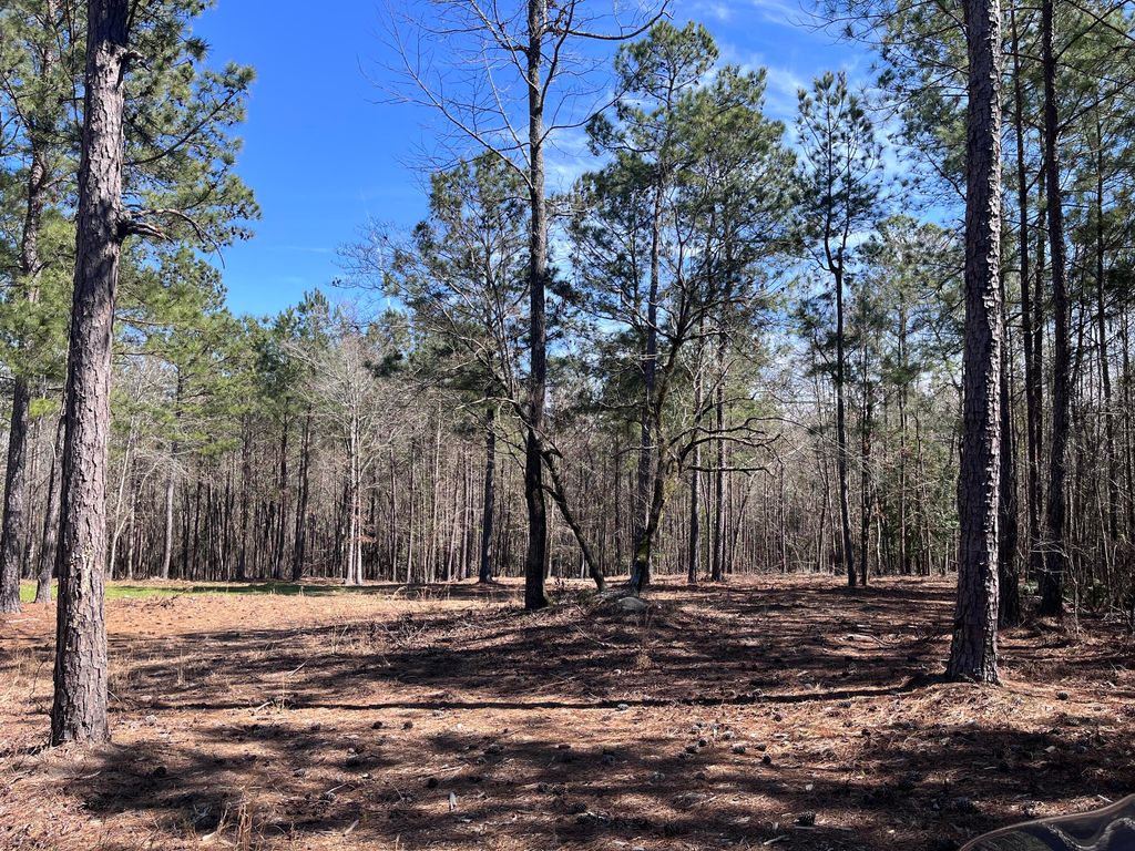 Photo of 2296 Williams Road Road, Thomson, GA 30824 (MLS # 549048)