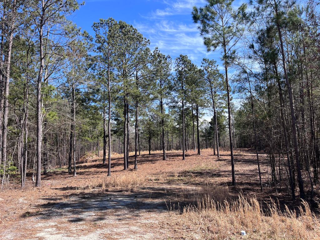 Photo of 2296 Williams Road Road, Thomson, GA 30824 (MLS # 549048)