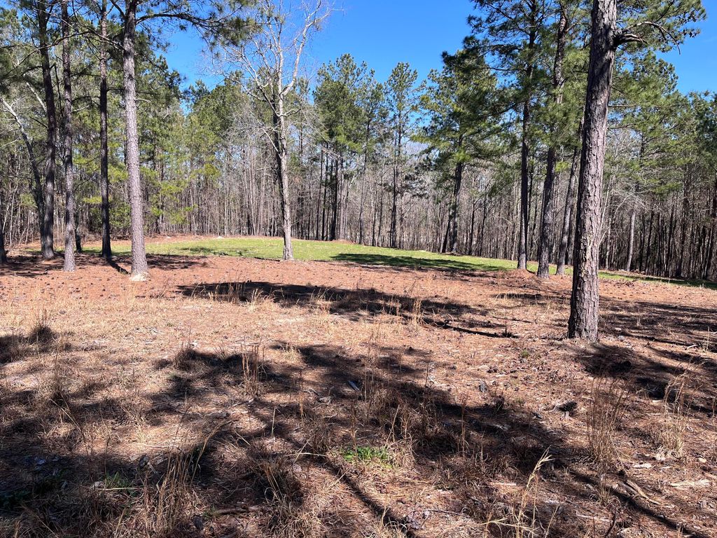 Photo of 2296 Williams Road Road, Thomson, GA 30824 (MLS # 549048)