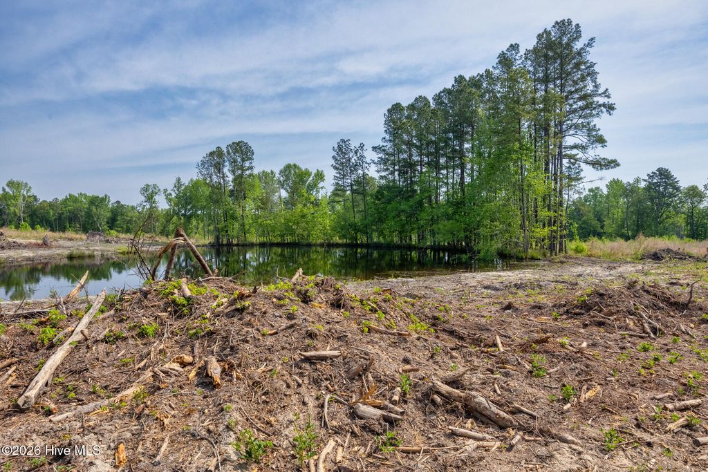 Photo of 935 Mcgill Road, Vass, NC 28394 (MLS # 100570309)