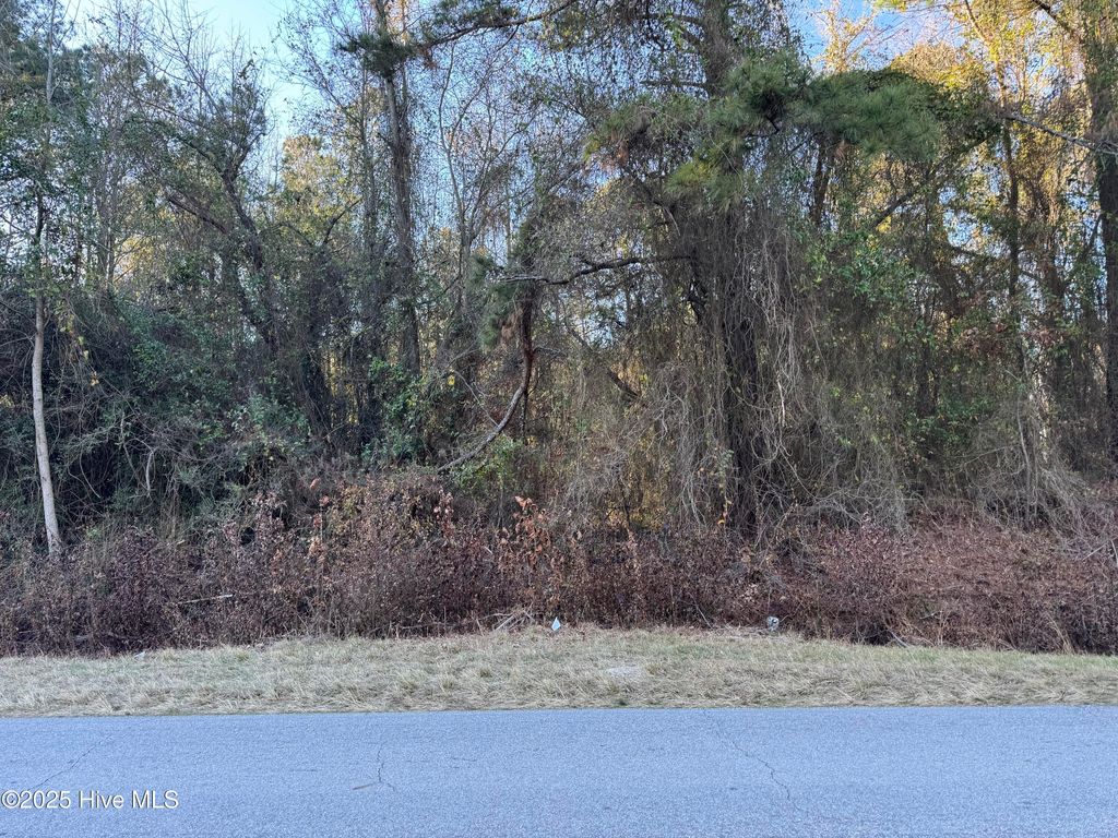Photo of 00 New Hope Church Road, Turkey, NC 28393 (MLS # 100545158)