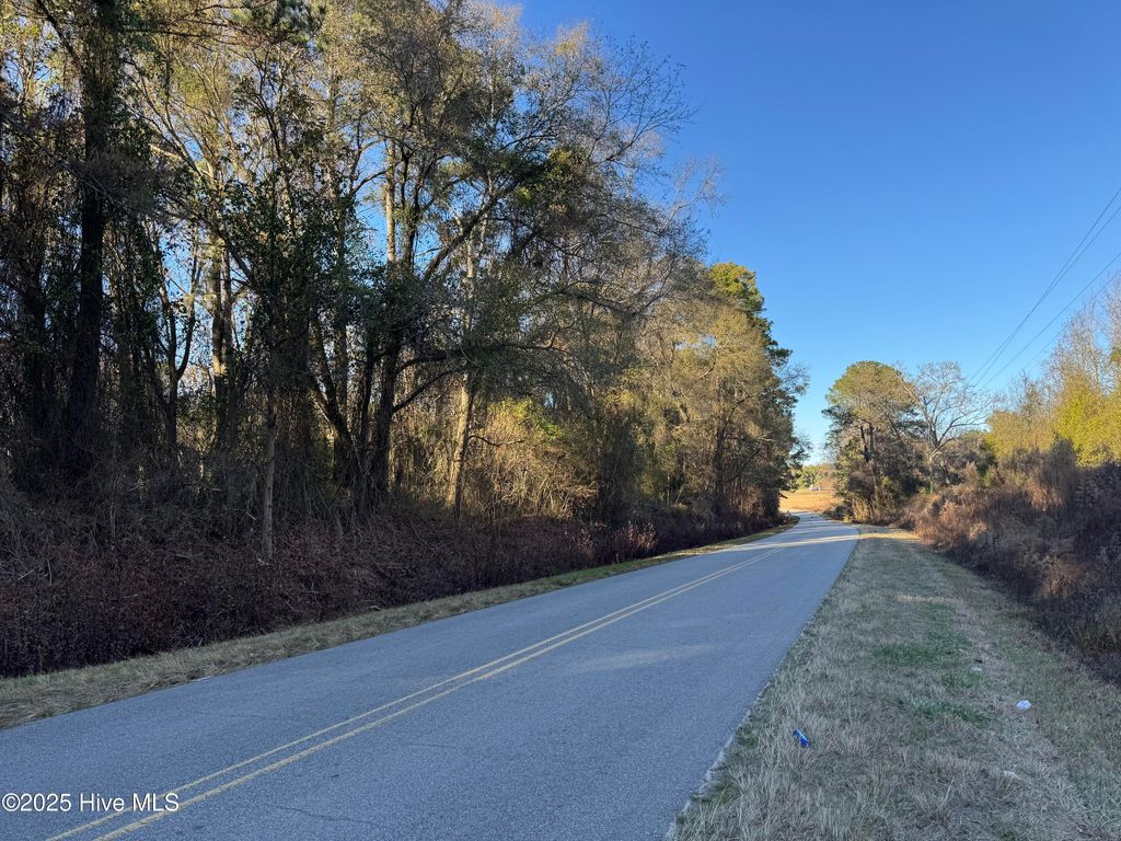 Photo of 00 New Hope Church Road, Turkey, NC 28393 (MLS # 100545158)