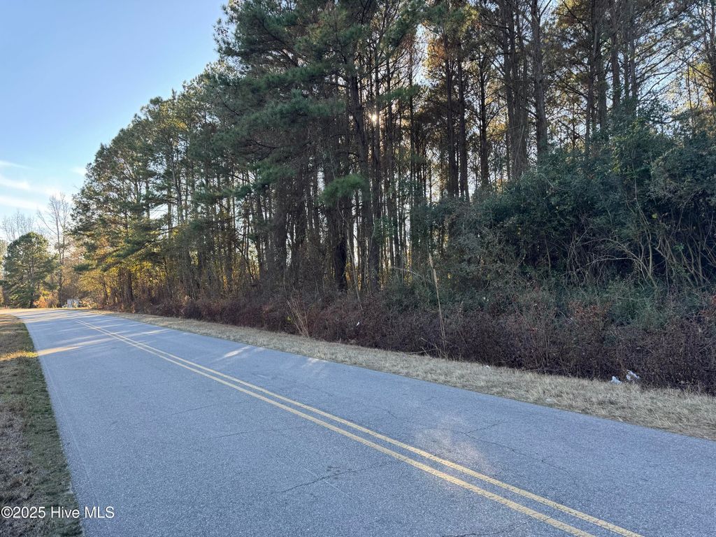 Photo of 00 New Hope Church Road, Turkey, NC 28393 (MLS # 100545158)