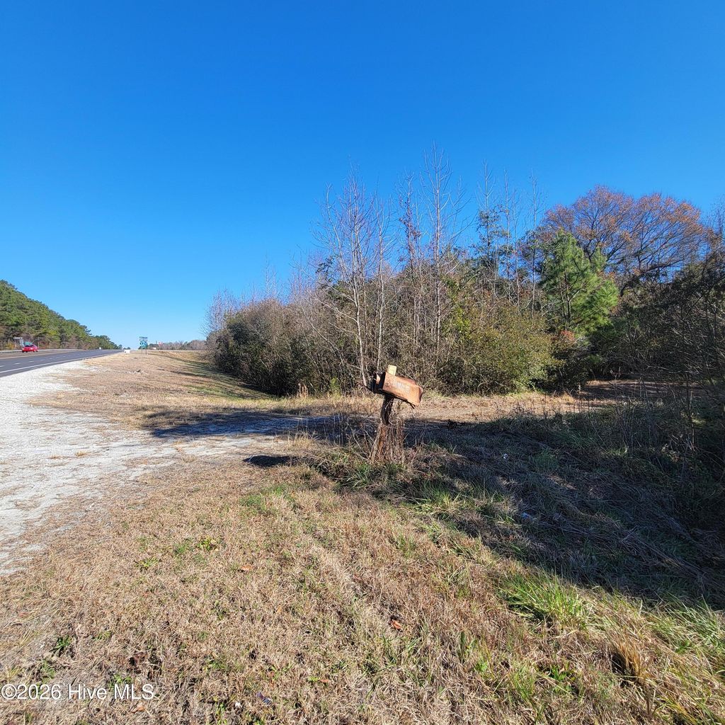 Photo of 2105 Nc Highway 53 E, Burgaw, NC 28425 (MLS # 100570674)