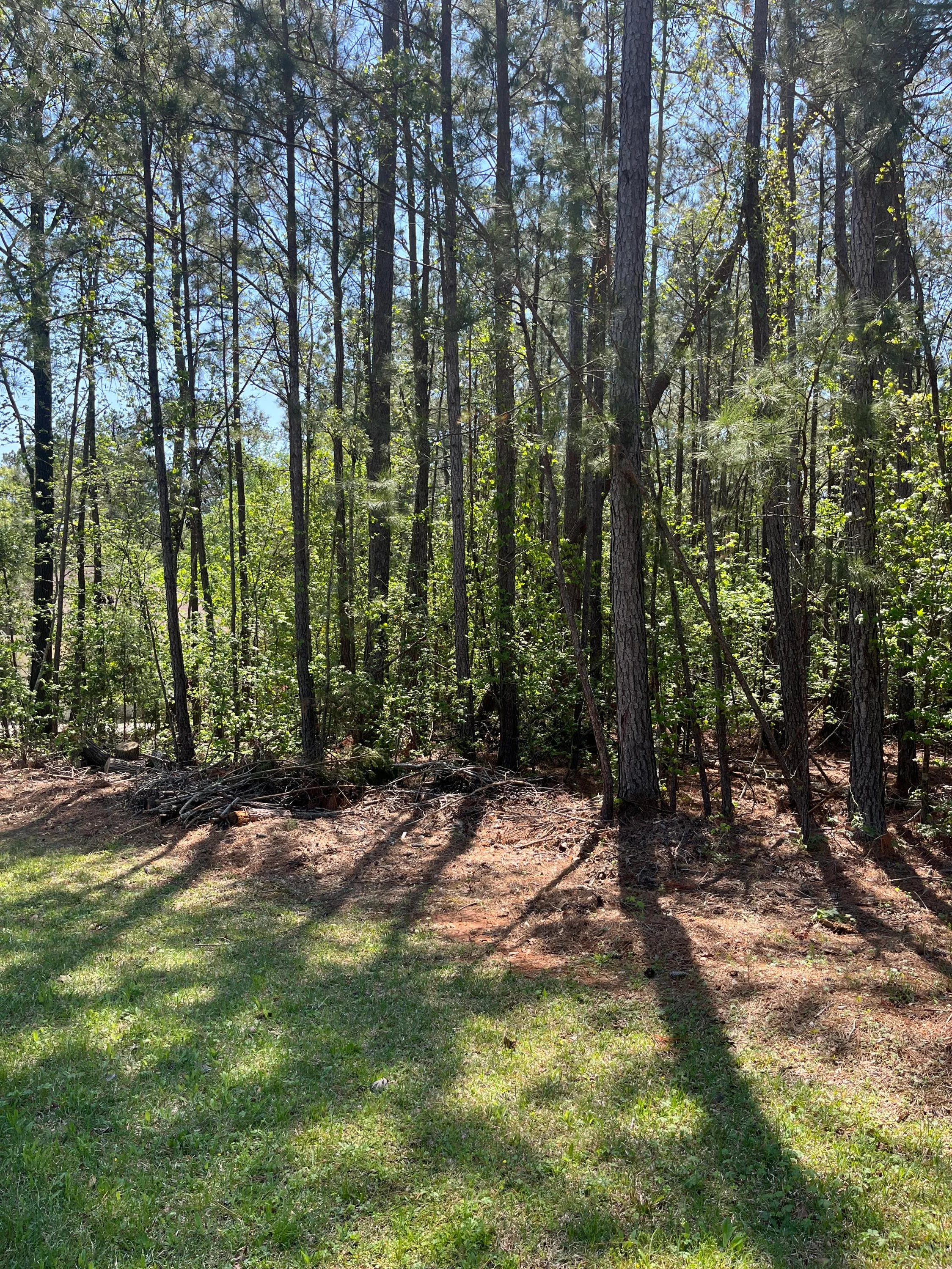 L14 B39 Antioch Drive