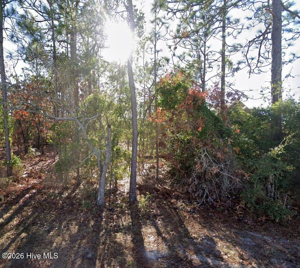 Photo of 6 Ash Road, Boiling Spring Lakes, NC 28461 (MLS # 100570965)