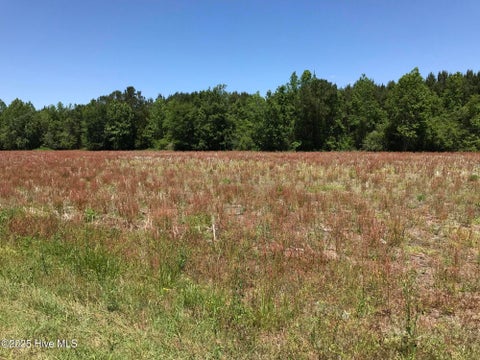 Vacant Land For Sale - 5522 Little Prong Road<br/> Ash, NC 28420