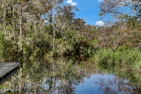 Tiny photo for 491 Bronze Drive, Rocky Point, NC 28457 (MLS # 100607686)
