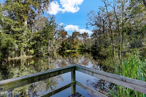 Tiny photo for 491 Bronze Drive, Rocky Point, NC 28457 (MLS # 100607686)