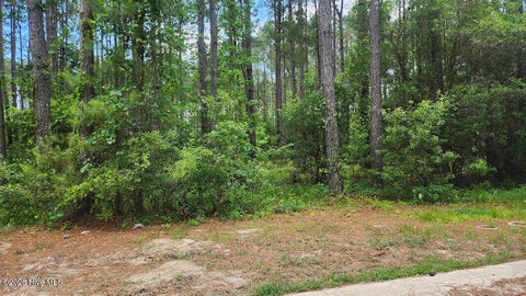 Vacant Land For Sale - 485 Swatara Street<br/> Bolivia, NC 28422